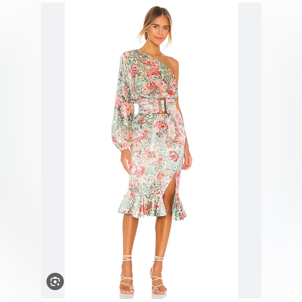 HEMANT AND NANDITA Olivia Midi Dress in Sage Green